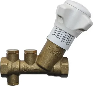 Балансировочный клапан 2"в х 2"в Kvs 25.5 Giacomini R206BY018