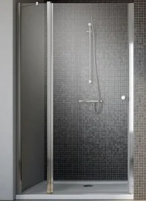 Дверь в нишу 1100мм прозрачное стекло Radaway EOS II DWJ 110 L 3799443-01L