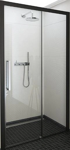 Дверь в нишу 1500мм прозрачное стекло Roltechnik Exclusive Line ECD2/1500 black elox P 565-150000P-05-02