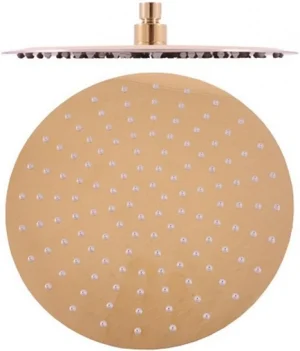 Лейка верхнего душа Rav Slezak золото KS0001Z