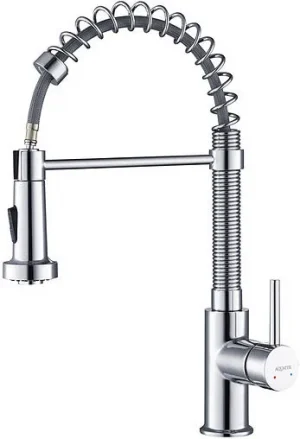 Смеситель для кухни с гибким изливом Aquatek Европа хром AQ1387CR