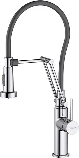 Смеситель для кухни с гибким изливом Aquatek Европа хром AQ1388CR