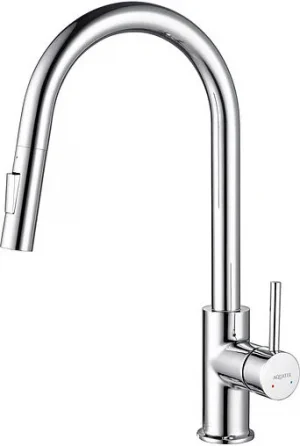 Смеситель для кухни с выдвижным изливом Aquatek Европа хром AQ1384CR
