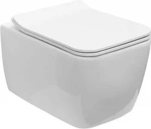 Унитаз подвесной безободковый Allen Brau Liberty белый 4.33007.20