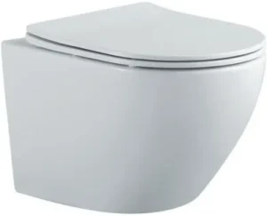 Унитаз подвесной безободковый Aquatek Европа белый матовый AQ1901-MW