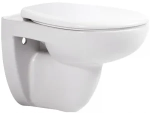 Унитаз подвесной безободковый Aquatek Каир белый AQ1170-00