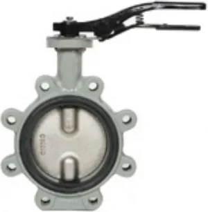 Затвор дисковый поворотный межфланцевый Ду100 Ру16 Giacomini R59FLX010